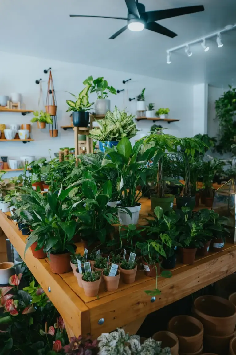plant lights for indoor plants